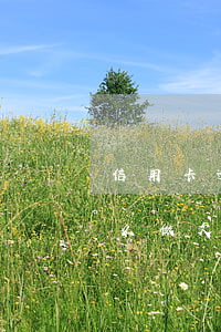 信用卡逾期收到律師函律師會(huì)怎么做(欠信用卡不還說(shuō)要發(fā)律師函、控告函)